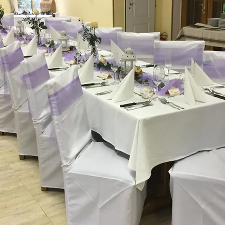 Hotel Forrest Chomutov